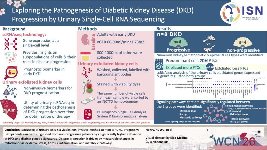 Exploring the pathogenesis of DKDprogression by urinary single-cell RNA sequencing and urinary proteomic profiling for potential biomarkers of early non-diabetic CKD