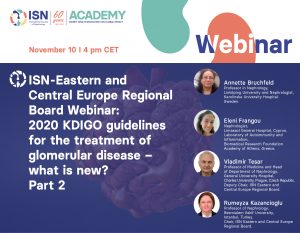ISN Eastern and Central Europe Regional Board webinar