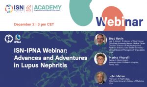 Advances and Adventures in Lupus Nephritis